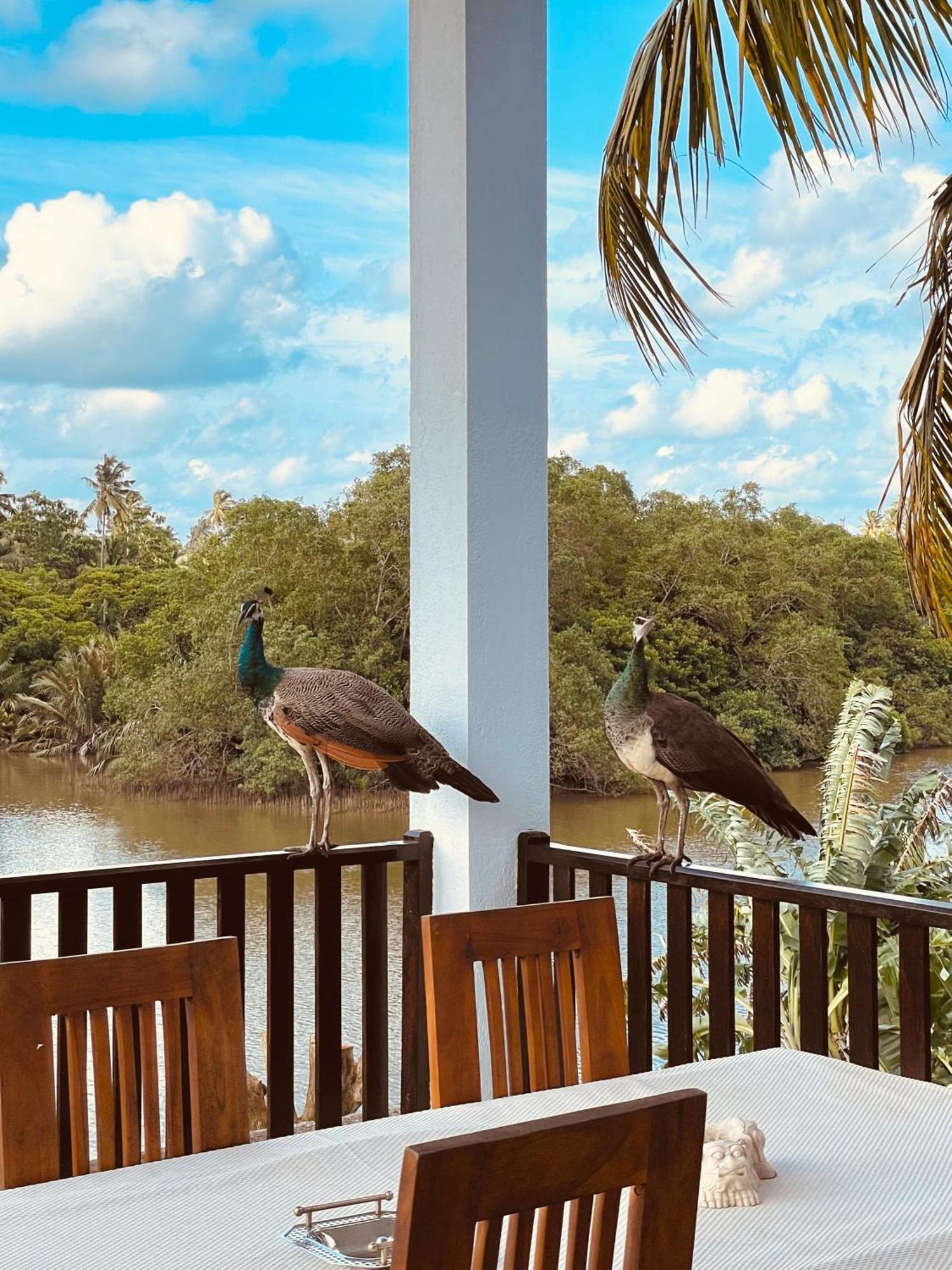 Riverwood Villa فيليغاما المظهر الخارجي الصورة
